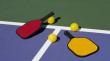 Pickleball Equipment Market Projected to See Notable Growth from 2025 to 2032 | Onix Sports, Inc., ProLite Sports, LLC