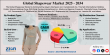 Shapewear Market Size to Reach USD 6.01 Billion by 2034, Growing at a CAGR of 8.10%
