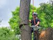 Idaho Falls Tree Service Pro Brings Elite Tree Care to Bonneville County