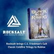 Rocksalt brings C.S. Friedman’s cult classic Coldfire Trilogy to Roblox
