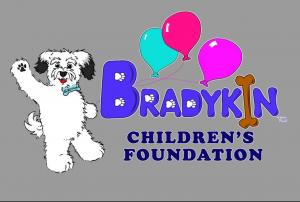 Bradykin 2