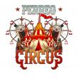 PERREO CIRCUS IS COMING TO WYNWOOD, MIAMI THIS OCTOBER- FUSING REGGAETON AND CIRCUS FOR AN UNFORGETTABLE NIGHT