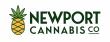 Newport Cannabis Co. Celebrates Grand Opening of Rhode Island’s Most Complete Cannabis Dispensary