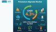 Potassium Alginate Market to Reach USD 2.75 Bn by 2035, Fueled by Demand in Food, Pharma, Textile & Sustainable Solution