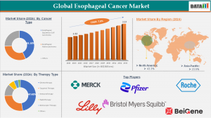 Market Size and Growth:
DataM Intelligence — The Global Esophageal Cancer Market continues to grow strongly, valued at USD 1 Global Esophageal Cancer Market
