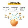 Global Egg Protein Market Projected at USD 19 Billion by 2035 with 6.5% CAGR Boosted by Functional Food Growth
