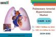 Pulmonary Arterial Hypertension Market Driven by Obesity & Cardiopulmonary Disorders | Report by DataM Intelligence