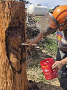 Chainsaw Carving