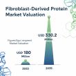 Fibroblast Derived Protein Market to Reach USD 330.2 Million by 2035 Driven by Expanding Medical & Cosmetic Applications