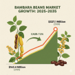 Bambara Beans Market to Reach USD 327.1 Million by 2035, Driven by Rising Demand for Sustainable Plant-Based Proteins