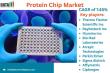 Protein Chip Market Set for Robust Growth with Rising Demand in Precision Diagnostics and Drug Discovery 2025