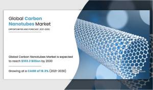 Carbon Nanotubes Market, by Type