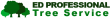 Seasonal Tree Care Tips for Rhode Island Homeowners