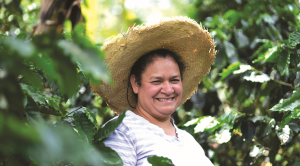 Women coffee farmer in a coffee field in Ecuador.