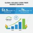 Soluble Corn Fiber Market to Reach USD 75 Billion by 2035, Driven by Rising Demand for Functional Foods