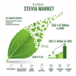 Stevia Market to Reach USD 2.5 Billion by 2035, Growing at 6.2% CAGR on Rising Demand for Natural Sweeteners