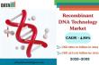 Recombinant DNA Technology Market to Hit $4,273.03 Billion by 2033, CAGR 4.8% Driven by Gene Therapy & Biopharma Demand