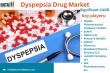 Global Dyspepsia Drug Market Set for Robust Growth Amid Rising Digestive Health Awareness 2025 | DataM Intelligence