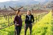 Wine Industry Champions Rally Behind Napa Green with Unprecedented Christie's Auction Donations