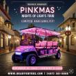 Pinkmas Returns to St. Augustine’s Nights of Lights 2025–2026 After Last Year’s Viral Success