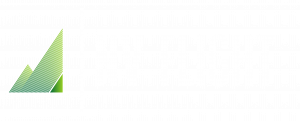 NV Flight Logo