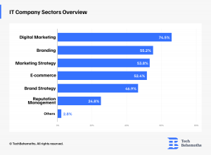 it-company-sectors-overview