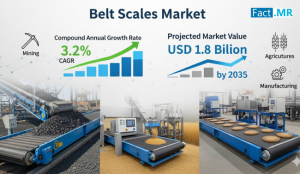 Belt Scales Market