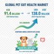 Intestinal Health Pet Dietary Supplement Market Poised to Reach USD 138.0 Billion by 2035 Amid Rising Pet Wellness Trend