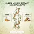 Licorice Extract Market to Reach USD 1.6 Billion by 2035 as Demand Surges for Natural Health and Wellness Ingredients