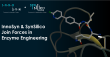 InnoSyn B.V. and SynSilico B.V. Join Forces in Enzyme Engineering