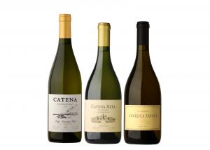 Catena Rising Leader in Imported Chardonnay