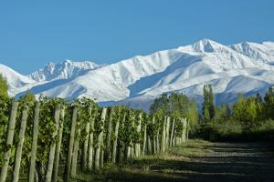 Argentina’s high altitude region is considered cool climate