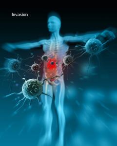 Digital illustration of a human body being attacked by antigens, symbolizing the immune system’s rapid response as a measure of true health.