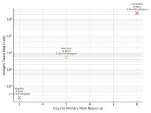Antibody response chart showing differences between healthy, average, and unhealthy humans: healthy immune systems react quickly with few antigens, while unhealthy systems are delayed and require millions of antigens.