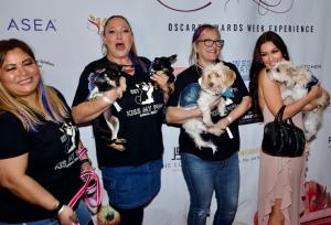 Kiss My Paws Animal Rescue