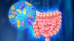 NYUAD researchers develop 3D-printed capsule to sample gut microbiome