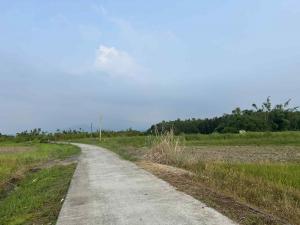 Restoring ecosystems and supporting communities: the Satoyama Mace Initiative brings climate justice to rural landscapes across the Global South.
