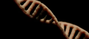 5-minute real-time PCR