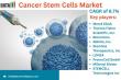 Global Cancer Stem Cells Market Poised for Breakthrough Growth Amid Rising Oncology Innovations 2025 |DataM Intelligence