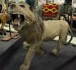 Preston Evans, after decades of collecting and holding auctions, will hold a massive retirement auction, October 10 & 11