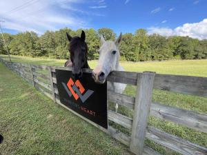 Warriors Heart Virginia expanded their electives by offering equine therapy as an elective during their 6-week recovery program for military, veterans and first responder clients.