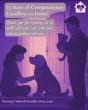 Caring Pathways Celebrates 15 Years of Compassionate In-Home End-of-Life Pet Care