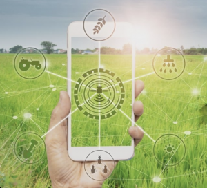 Ylium supply chain