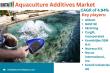 Aquaculture Additives Market Surges as Demand for Sustainable Fish Farming Intensifies 2025 | DataM Intelligence