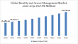 Identity and Access Management Market Poised for Breakthrough Amid Cloud and AI Integration 2025 | DataM Intelligence