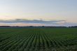 Arva and NatureMetrics Announce Partnership to Deliver Nature Intelligence Solutions for Climate and Biodiversity