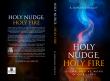 Exploring the Holy Spirit’s Voice in Daily Life with Holy Nudge, Holy Fire by R. Hannah Oakley