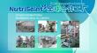 NutriSaint: Sharing Australia’s Natural Nutrition Globally