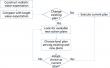 Risk theory: From perception to cognition