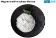 Magnesium Phosphate Market is Expected to Reach a Valuation of USD 2,641.4 Million in 2035 | FactMR Report